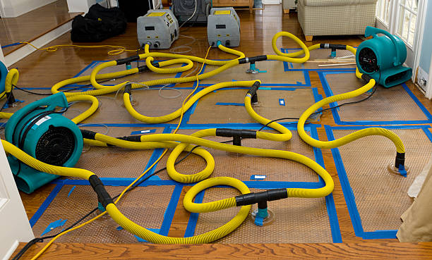 Professional Basement Flood Cleanup technician working in Grand Terrace, CA